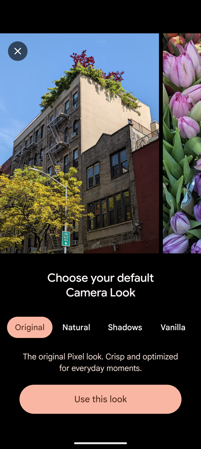 Screenshot of the Pixel Camera explainer for the Original Camera Look