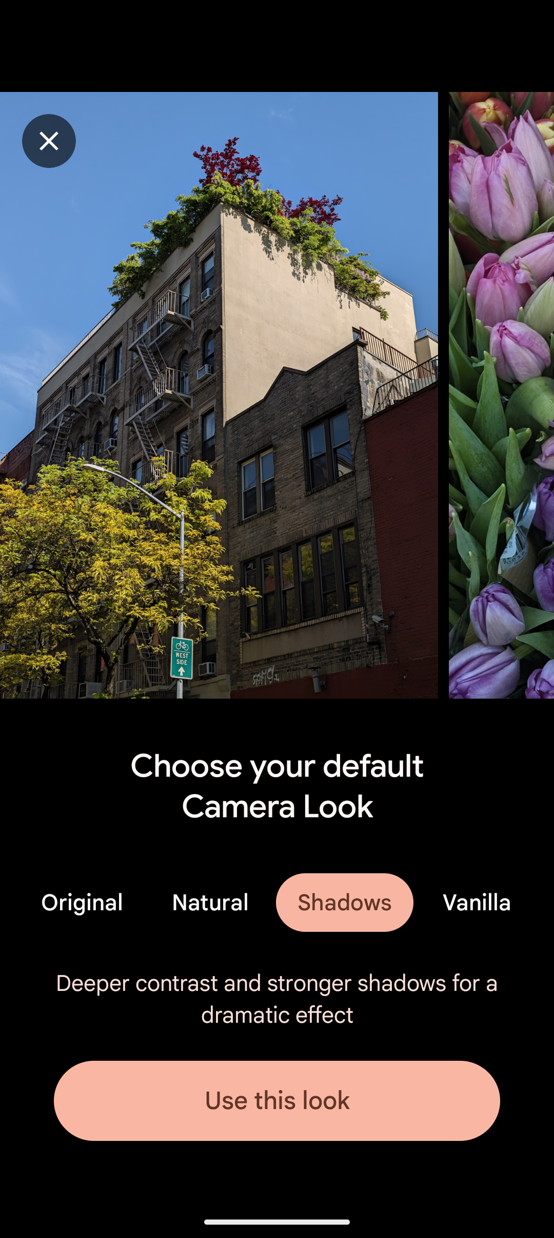 Screenshot of the Pixel Camera explainer for the Shadows Camera Look