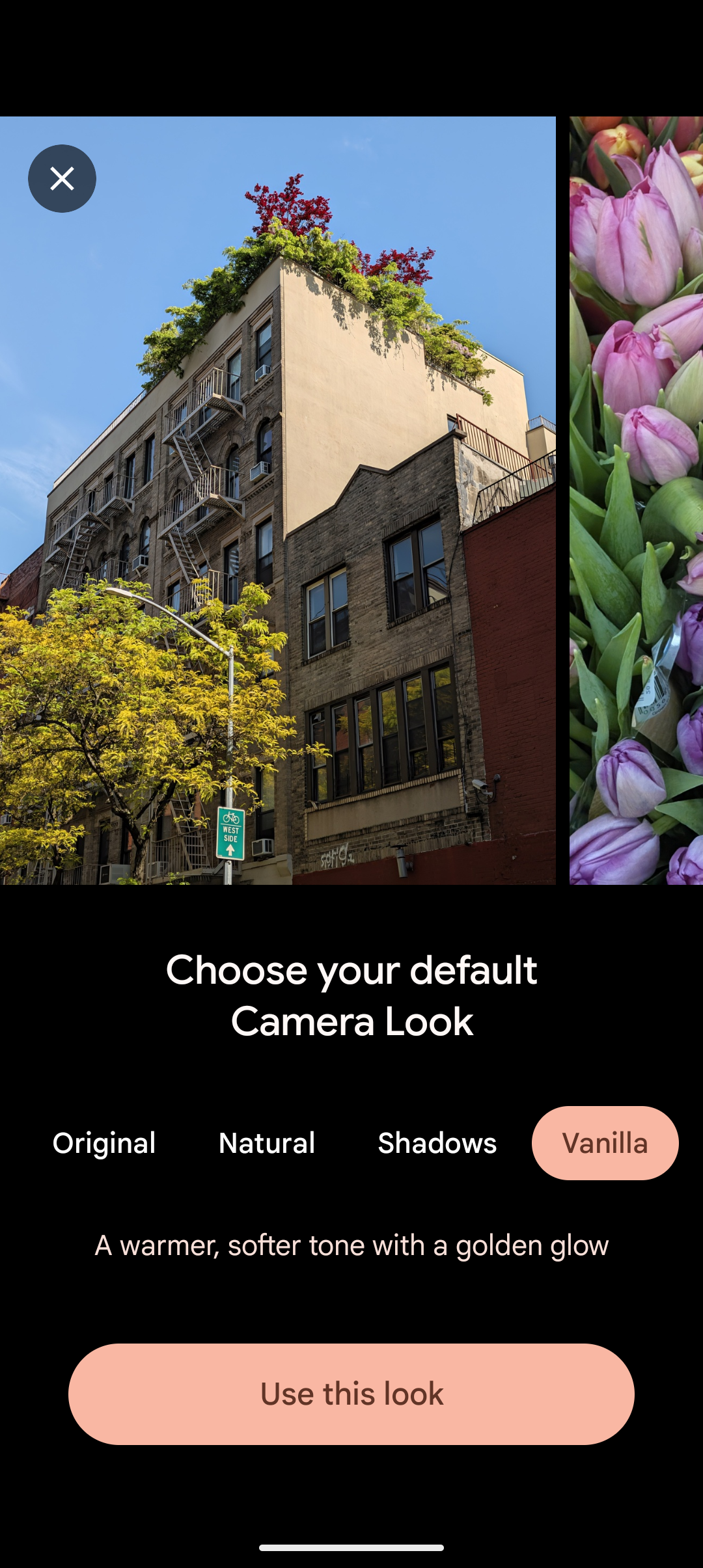 Screenshot of the Pixel Camera explainer for the Vanilla Camera Look