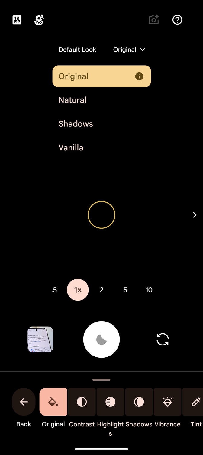 Screenshot of the Pixel Camera app showing the different Camera Looks selector