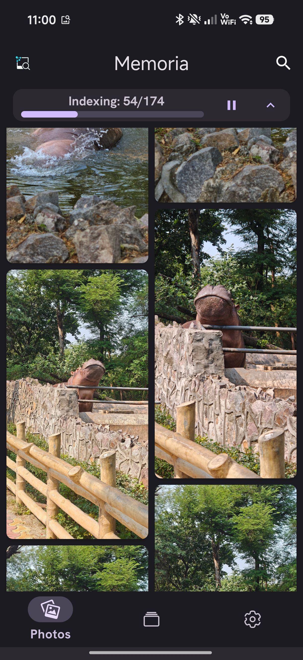 Memporia app showing search results for zoo with hippos and tigers
