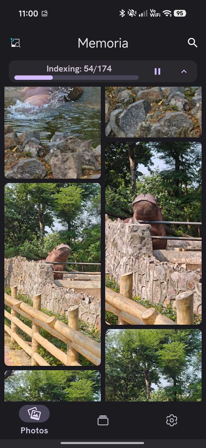 Memporia app showing search results for zoo with hippos and tigers