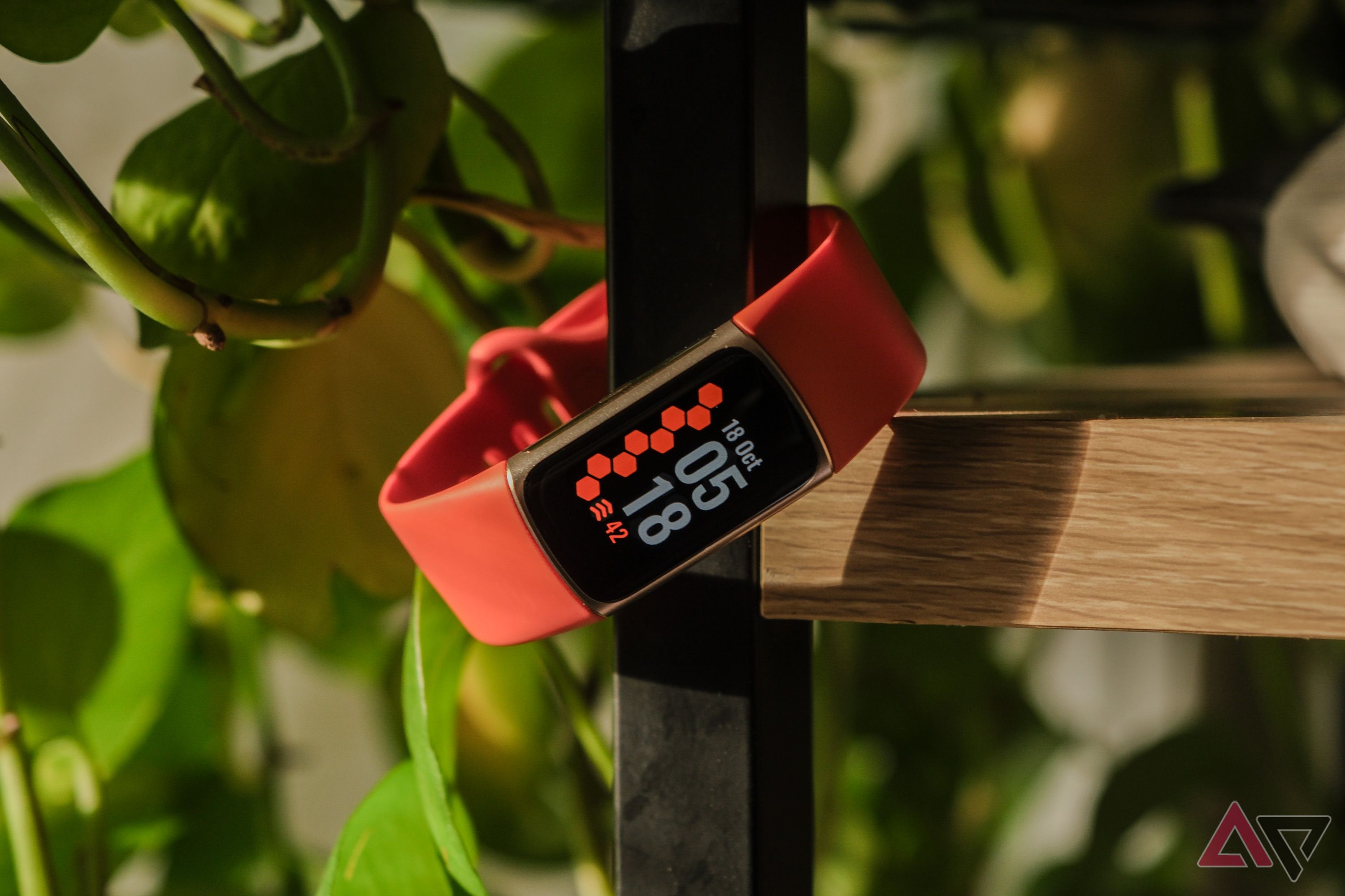 fitbit-charge-6-plant.jpg?w=