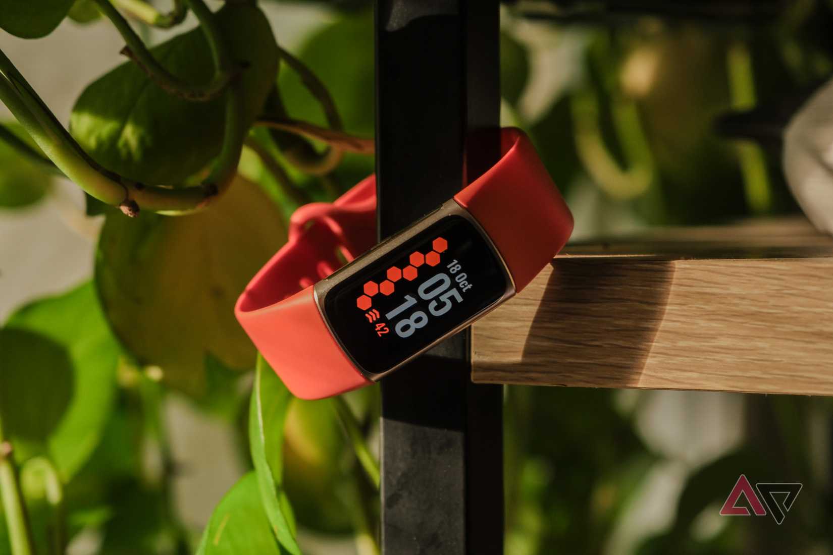 Un Fitbit Charge appeso a un palo con piante sullo sfondo