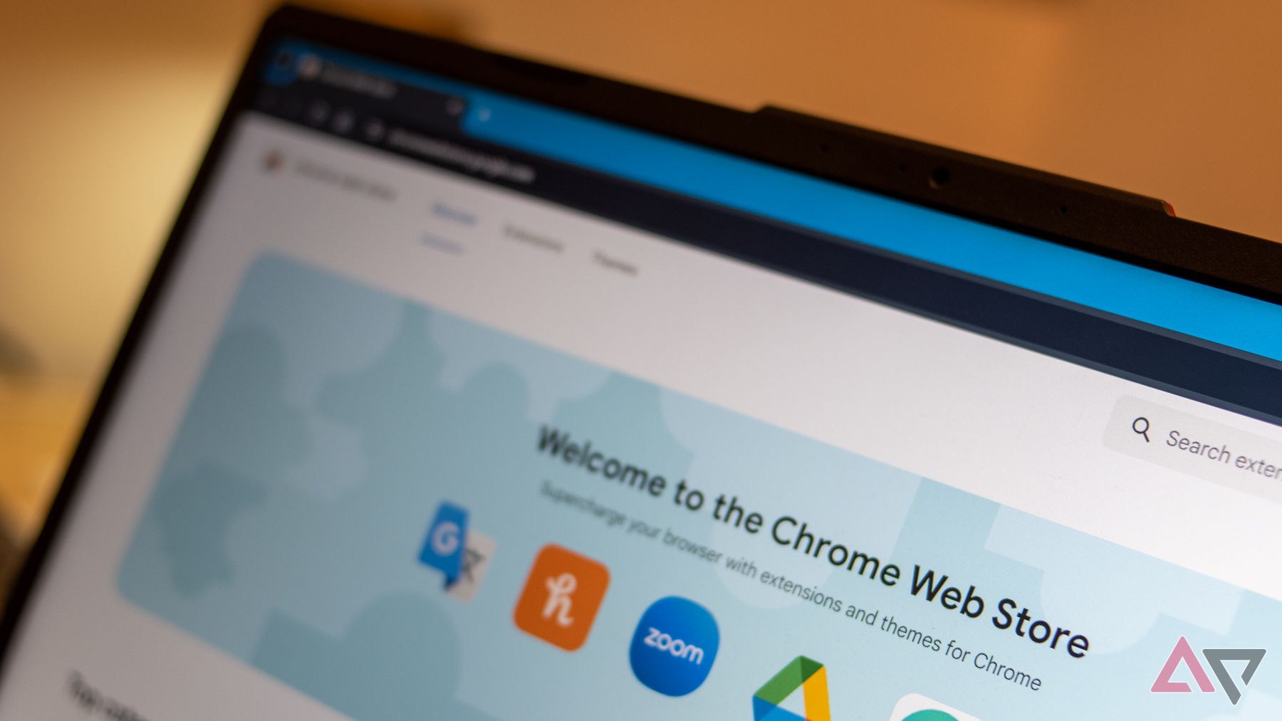 Chrome Web Store, Software