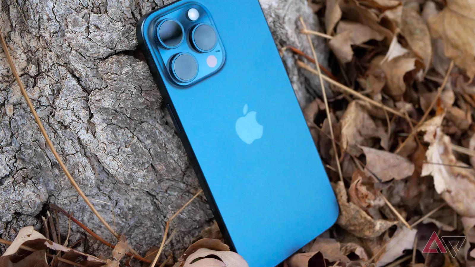 Pacific Blue Iphone 11 Pro Blue Colour Max Colors Space Grey 12