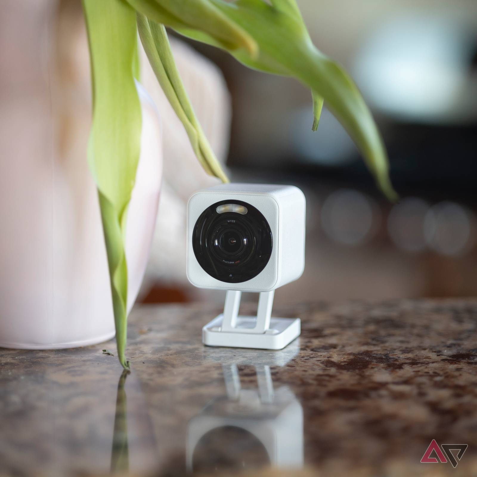 Wyze Cam v4 review: Not the best, but better than the last