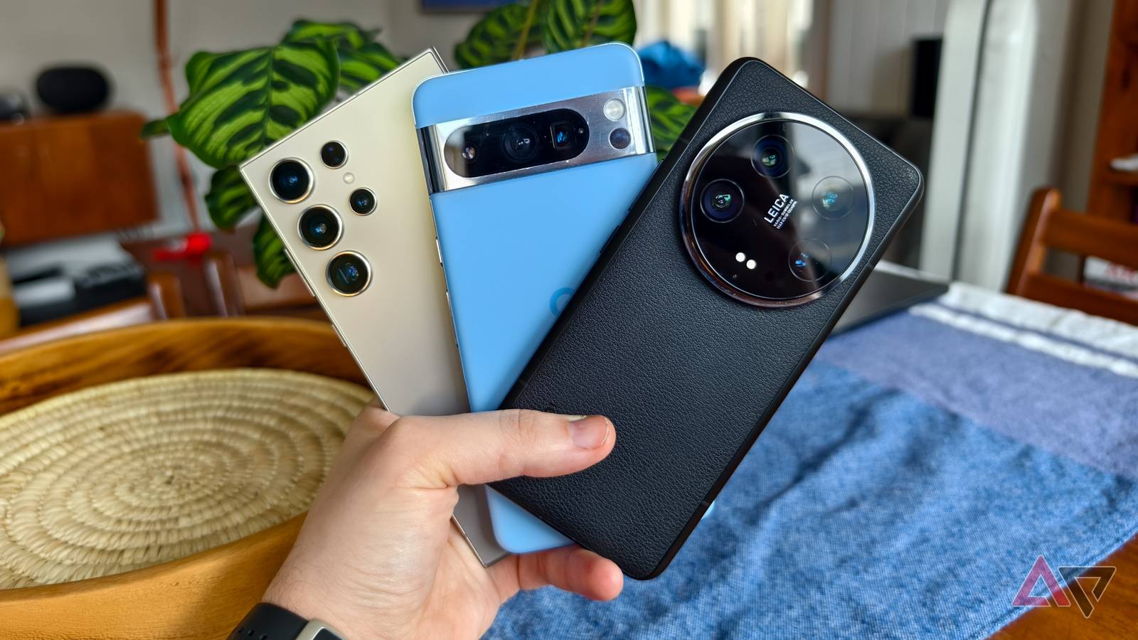 I tested the Xiaomi 14 Ultra's camera against the Galaxy S24 Ultra and ...