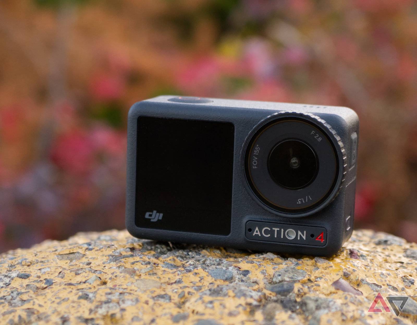 DJI Osmo Action review: Bigger sensor, bigger possibilities