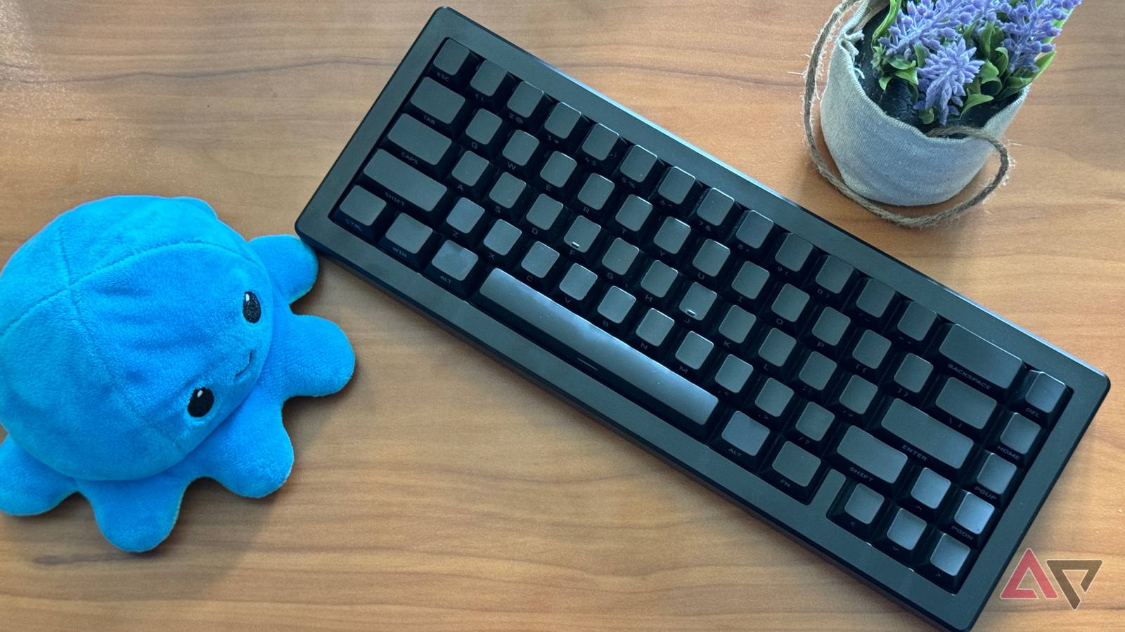 Drop CSTM65 Mechanical Keyboard review: Modular beyond belief