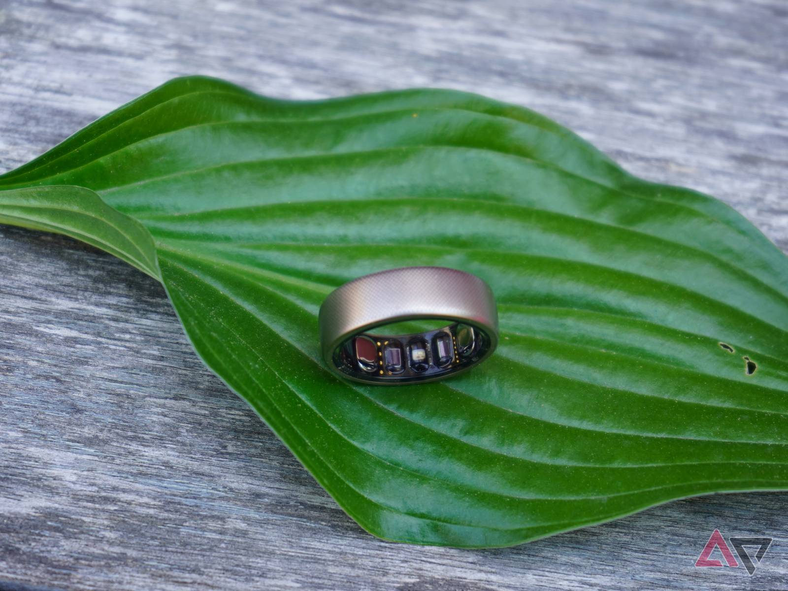 Amazfit Helio Ring review: A smart ring that needs work