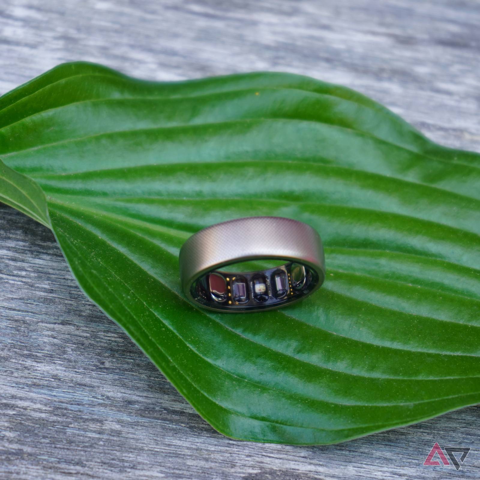 Amazfit Helio Ring review: A smart ring that needs work