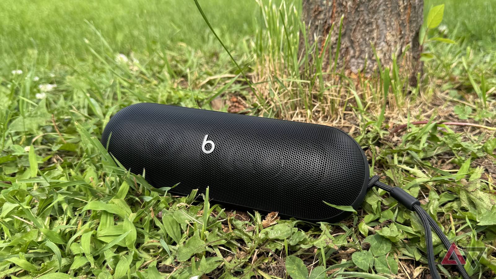 Jbl Flip Beats Pill Beats Pill (2024) Review: Big Bass With