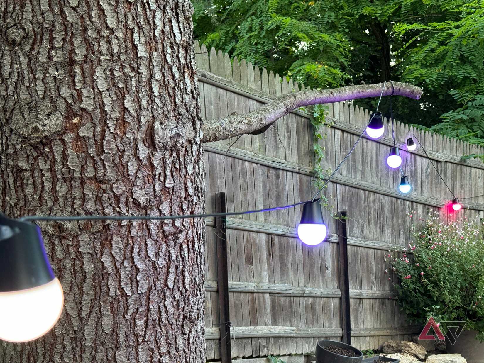 Govee Outdoor String Lights 2 on a fence