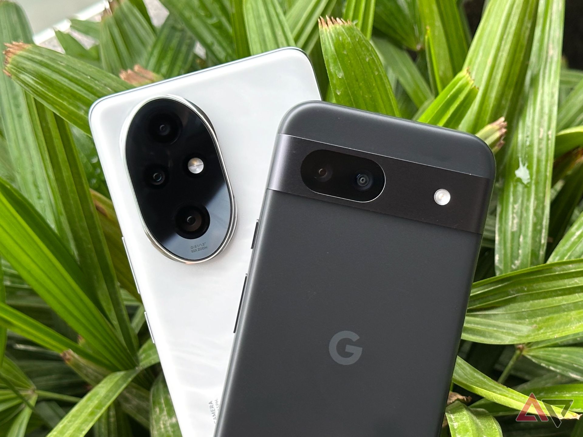 I put the Pixel 8a's camera against the Honor 200 Pro — here's who won