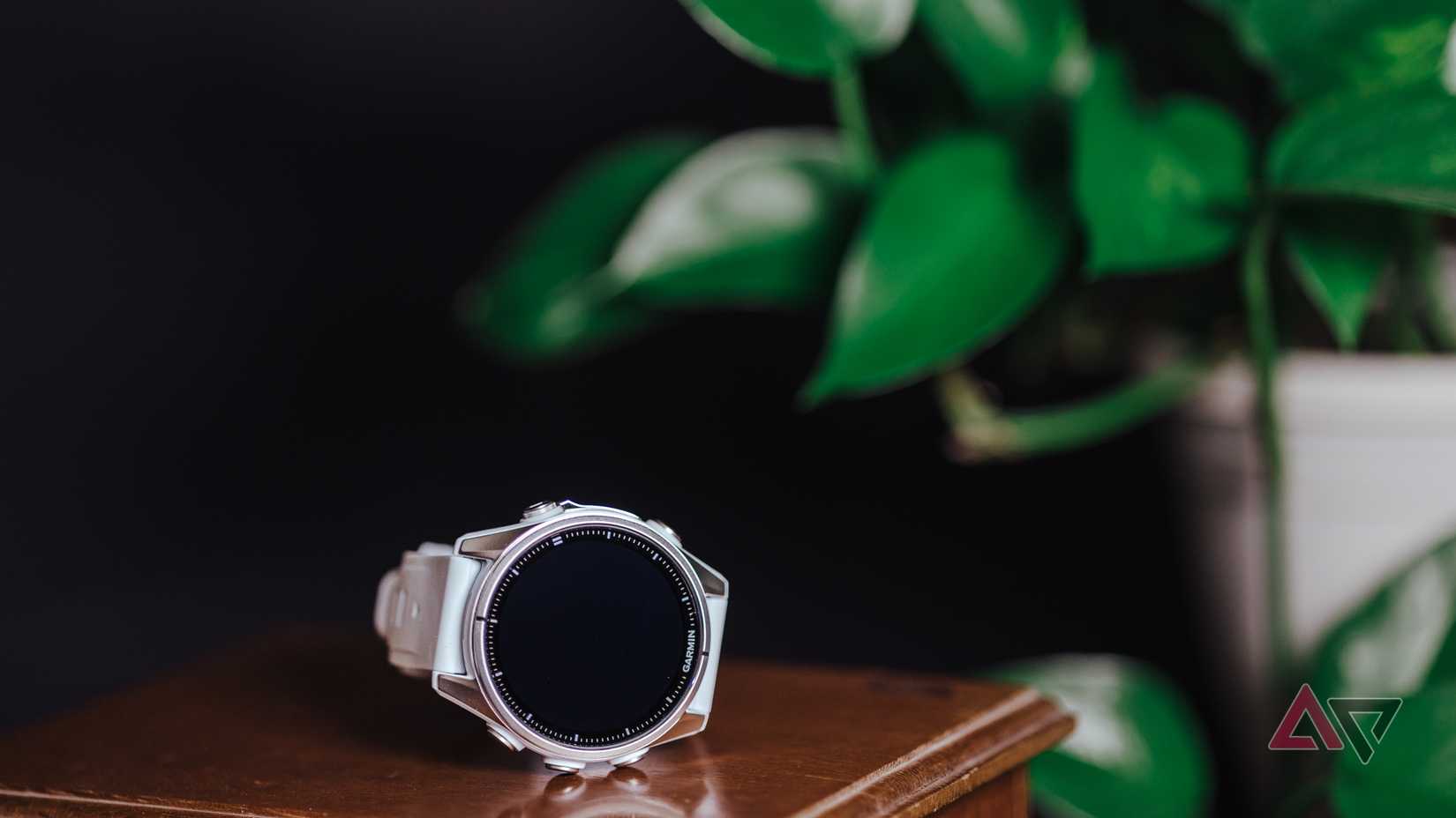 Garmin Fenix 8 on wooden jewelry box, plant in background