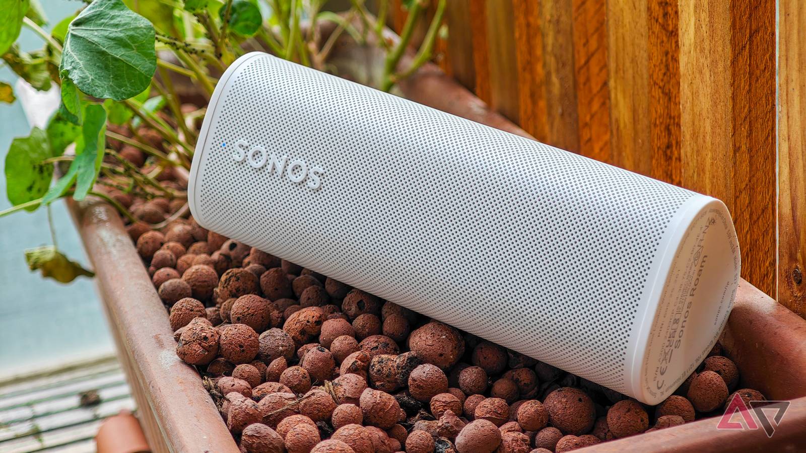 Sonos Roam review: Same sound, new button