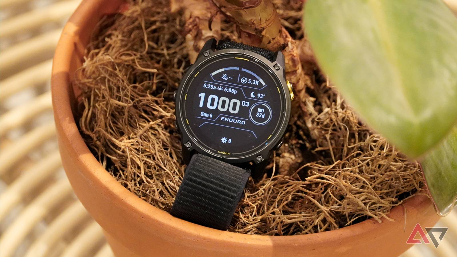 Garmin confirms what it will and won't share with Google Health