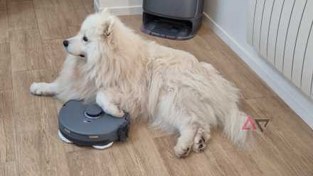 Um cachorro com a pata no Narwal Freo Z Ultra