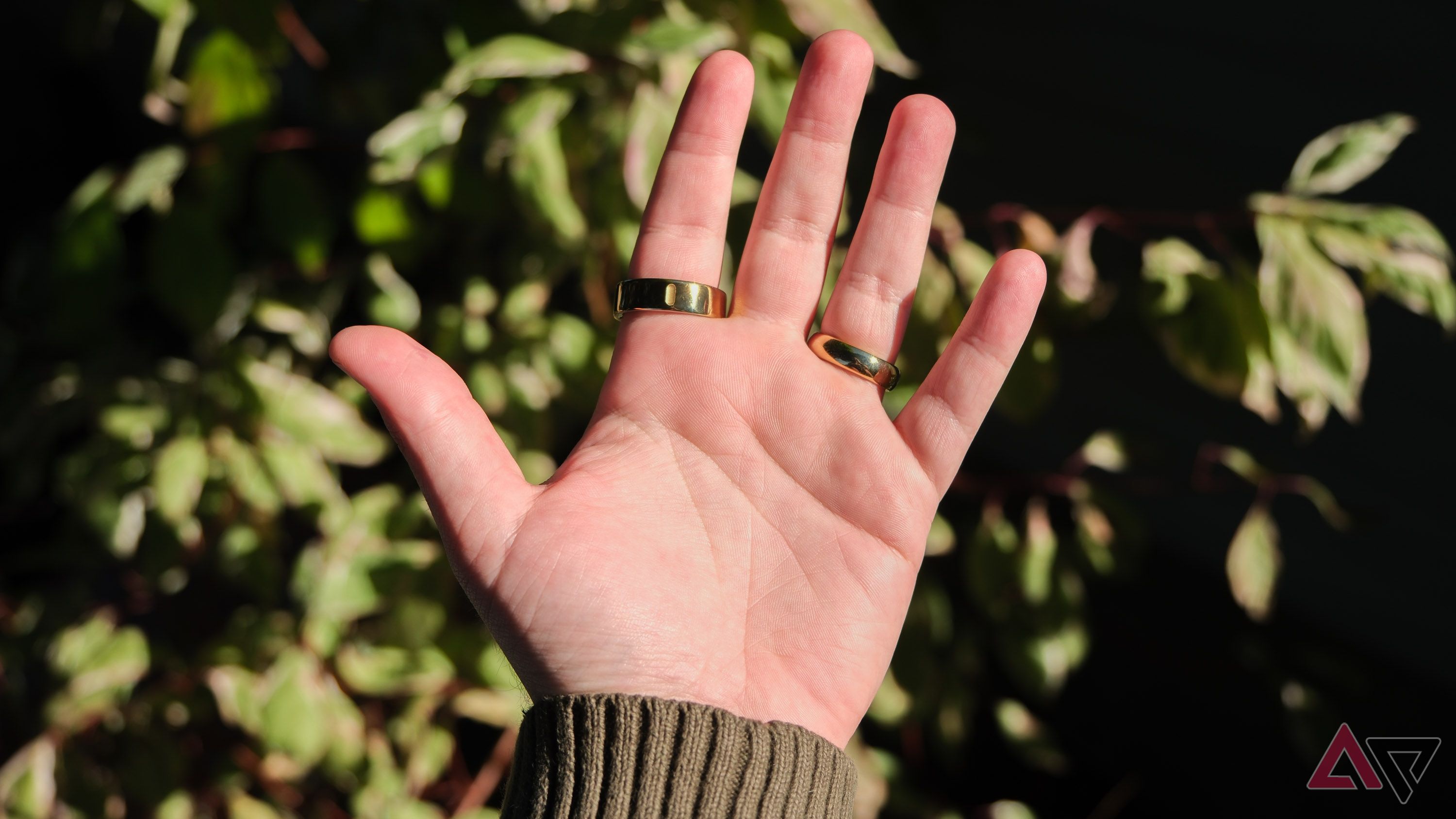 Oura Ring 4 review: A fantastic smart ring, but not an essential upgrade