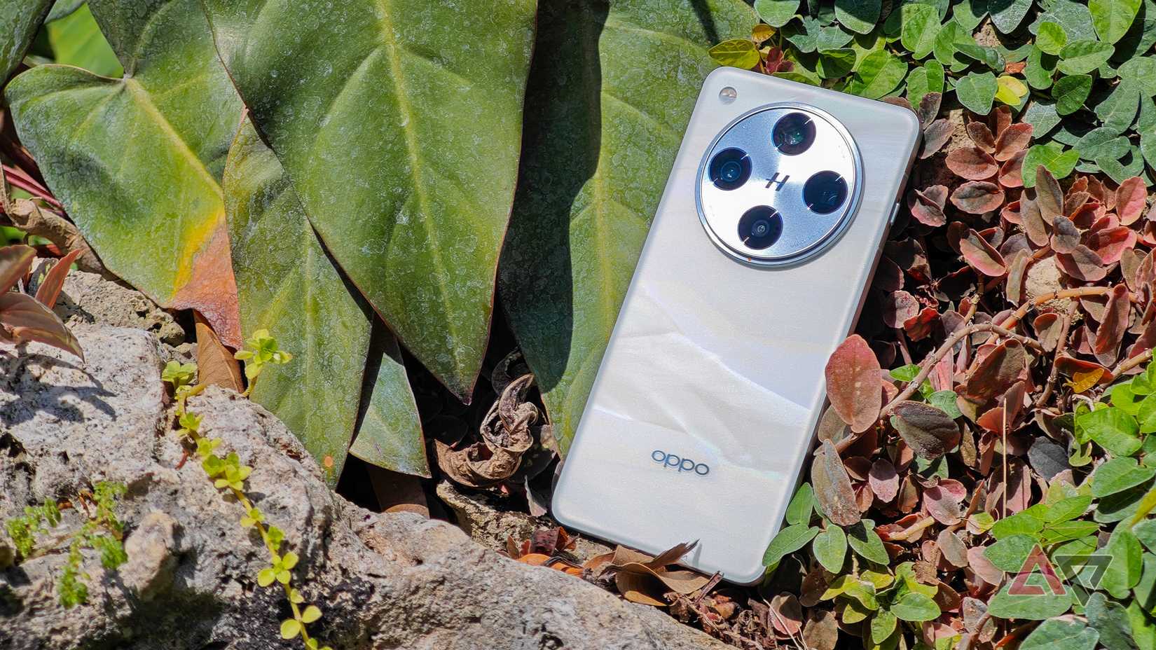 White Oppo Find X8 Pro leaning against some plants
