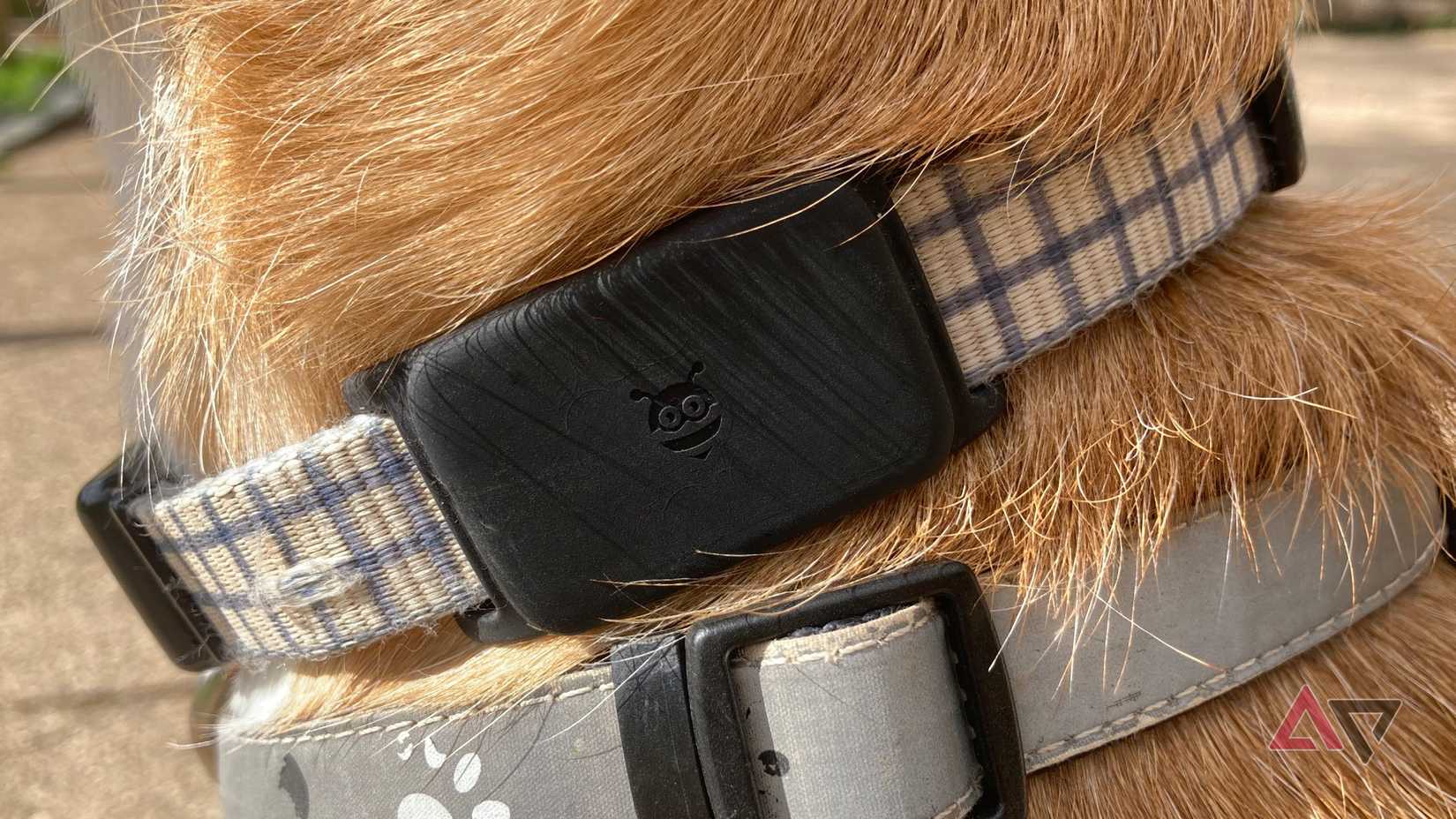 Tile Mate vs. Pebblebee Tag: Bigger isn't always better