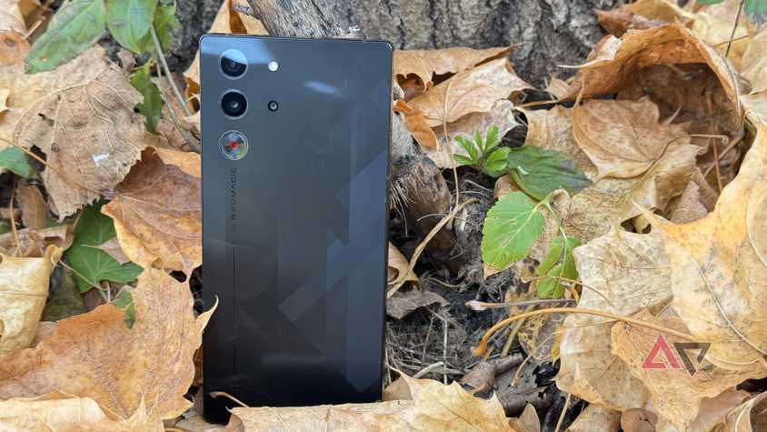 The Redmagic 10 Pro Black phone tends to a tree and surrounds brown leaves.