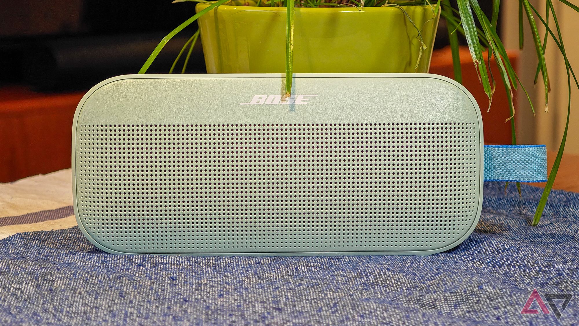 Bose SoundLink Flex 2 speaker on a wooden table in front of a plant