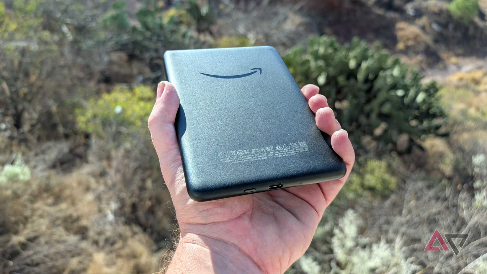 amazon-kindle-2024-voltar