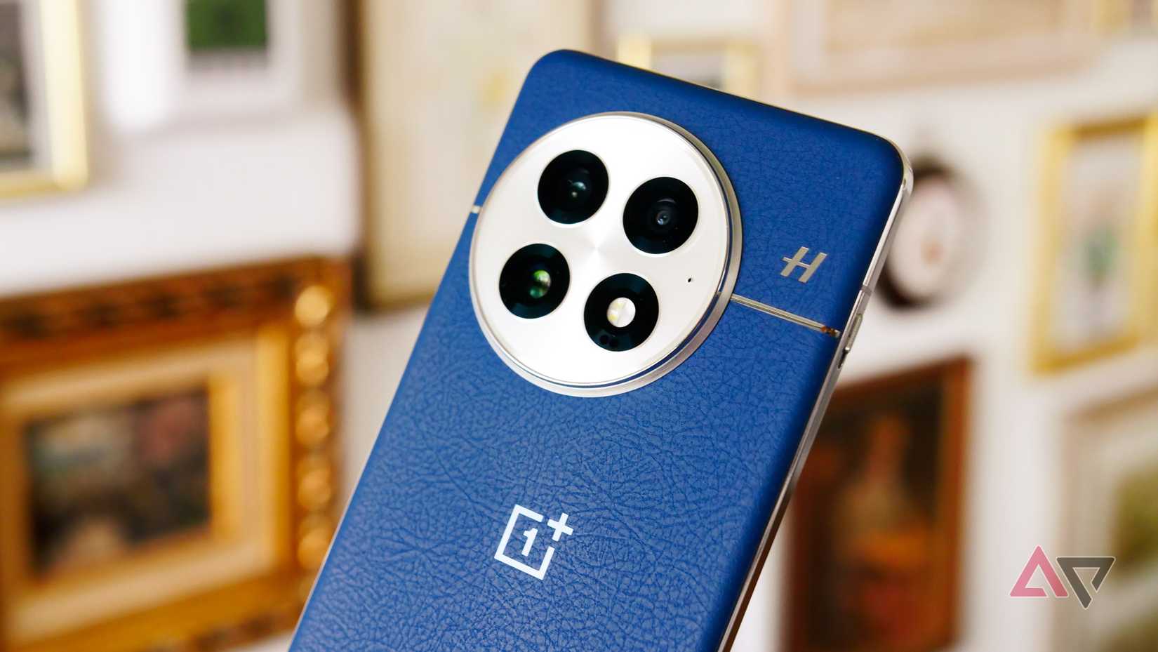 The back of the OnePlus 13