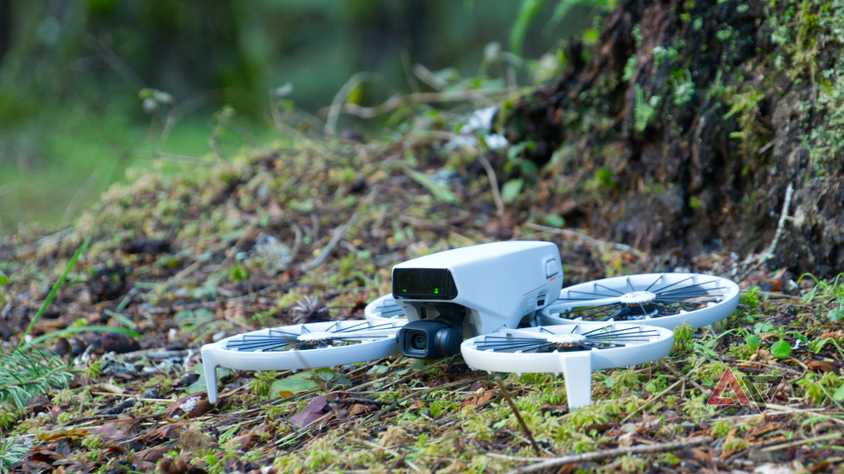 Dji Flip on the moss of moss with a tree in the background