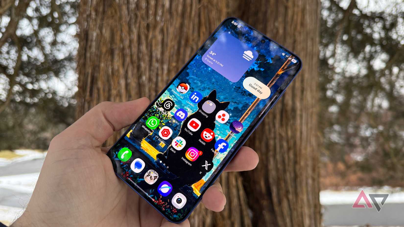 Samsung Galaxy S25+ display being held against tree