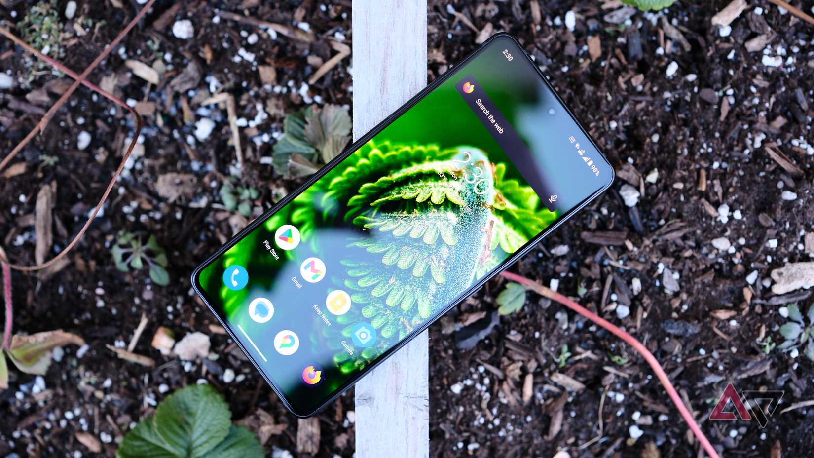 Asus Zenfone 12 Ultra Review Photos shows the phone sitting over strawberries 