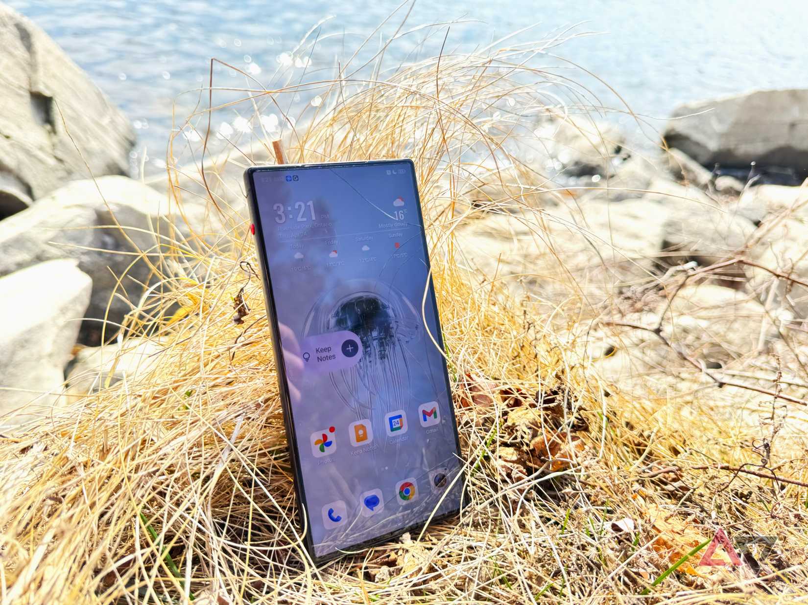 Redmagic 10 air stands in some yellow grass near some rocks.