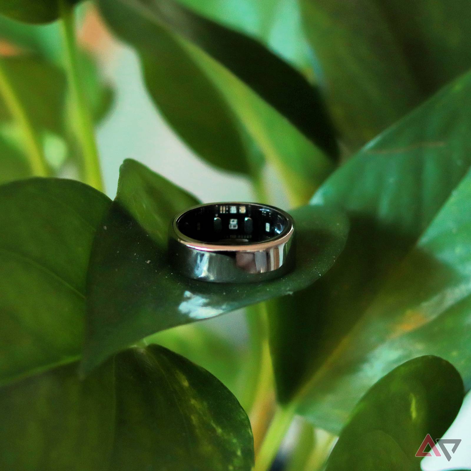 RingConn Gen 2 Air review: Runs rings around other budget