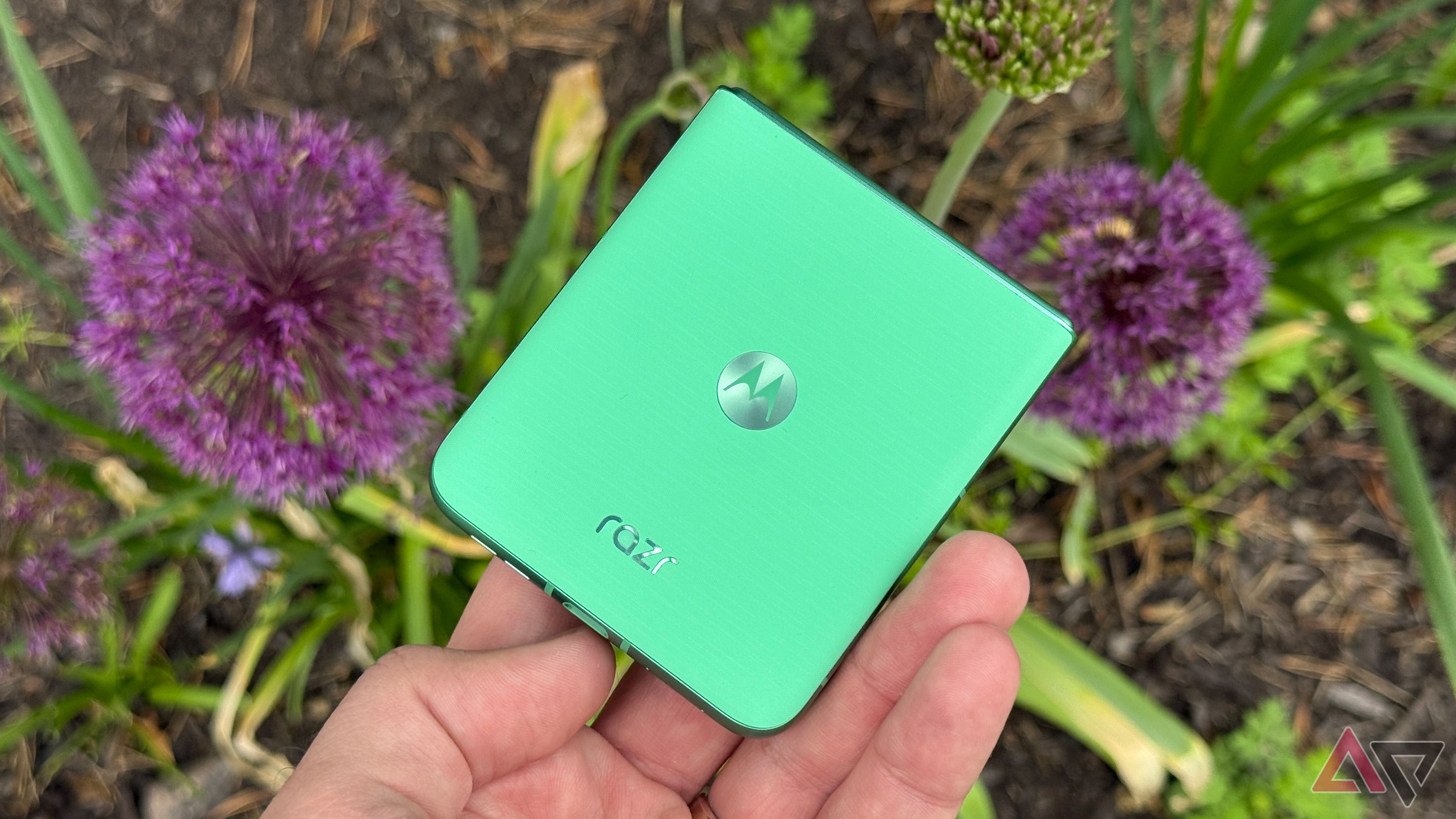 Motorola Razr 2025 in Spring Bud contro un'aiuola