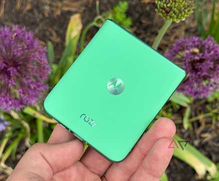 Motorola Razr 2025 in Spring Bud against a flower bed