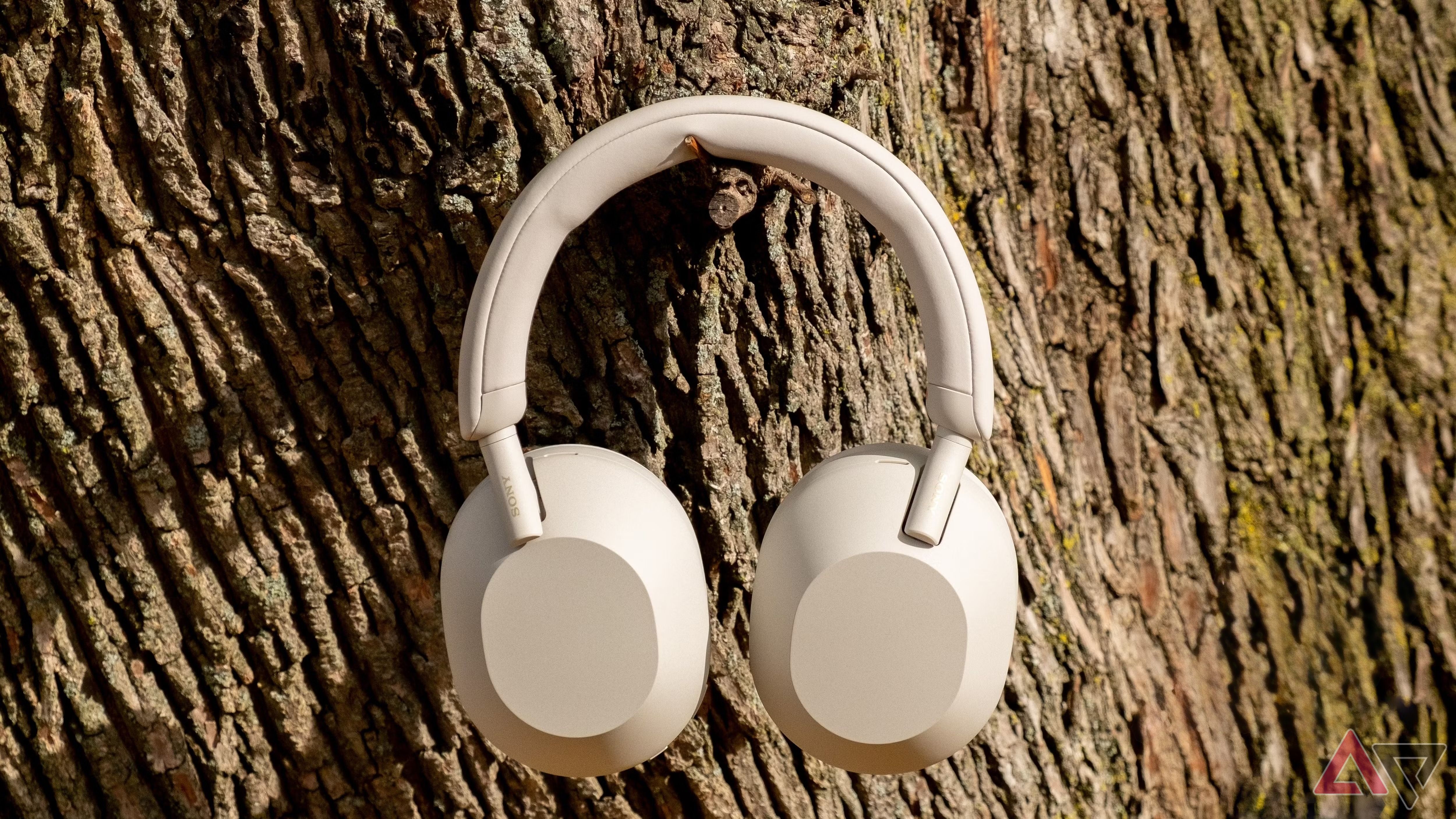 Sony WH-1000XM5 headphones hanging on a tree