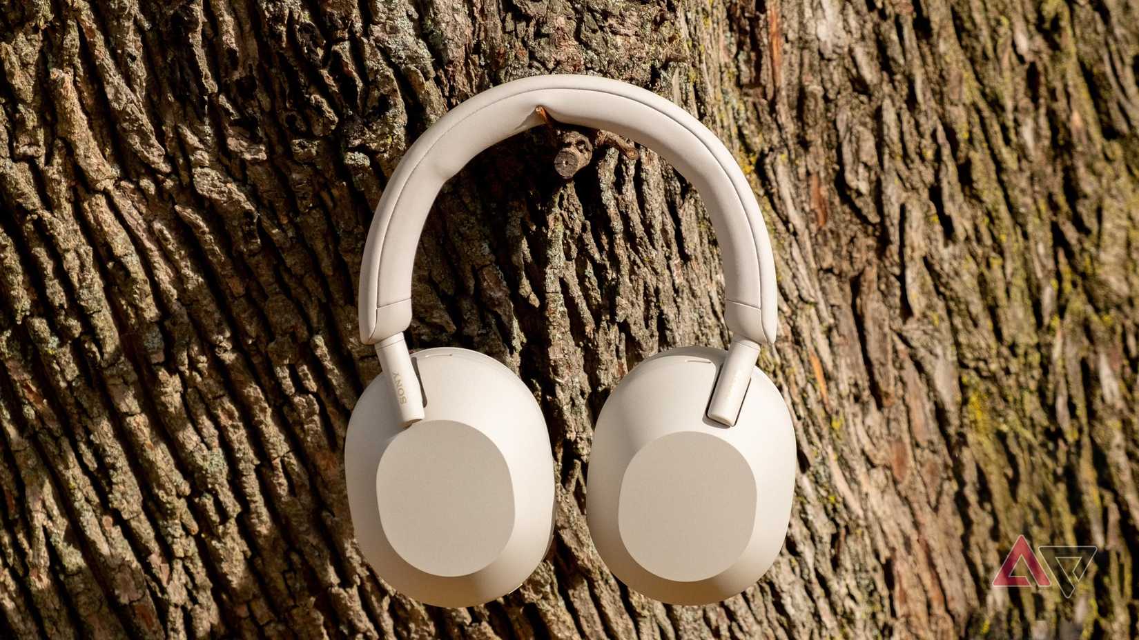 Sony WH-1000XM5 headphones hanging on a tree