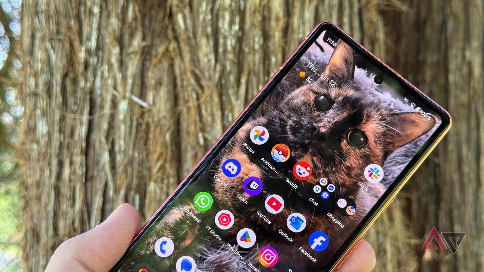 Google Pixel 7a display showing the home screen