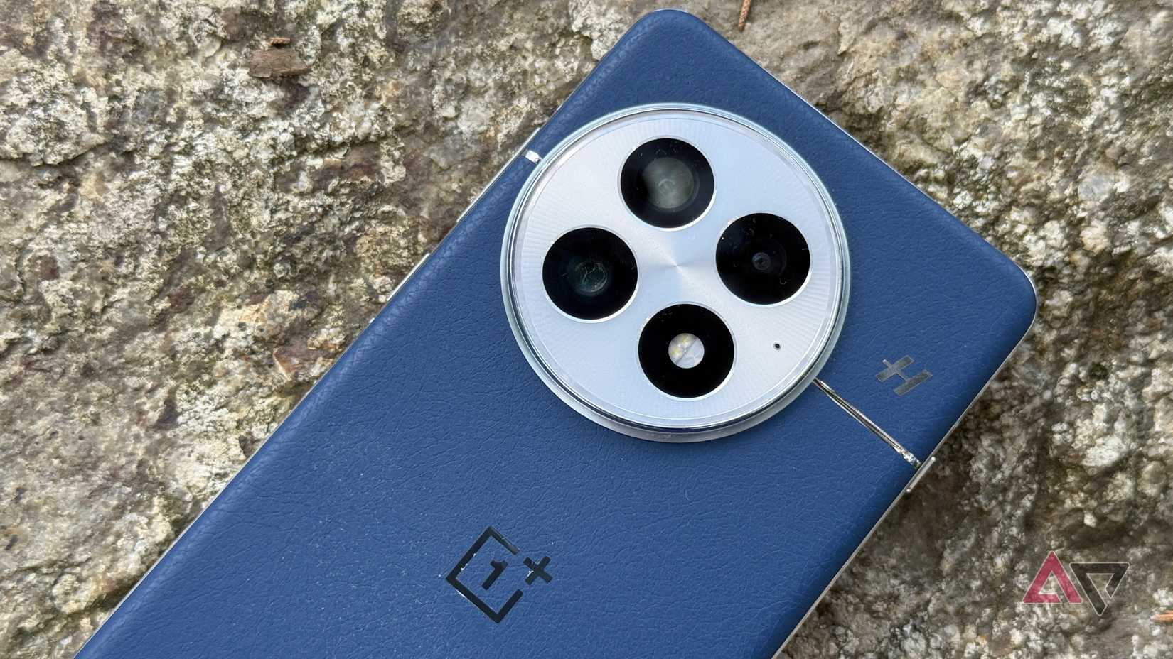 Closeup of the back of the OnePlus 13 on a rock