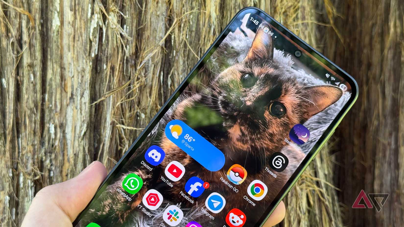 Samsung Galaxy A36 show displays home screen