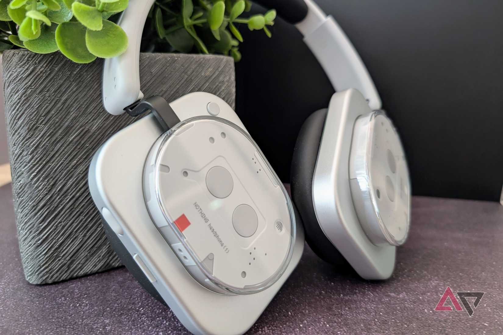 Nothing headphones (1) tends against a farmer