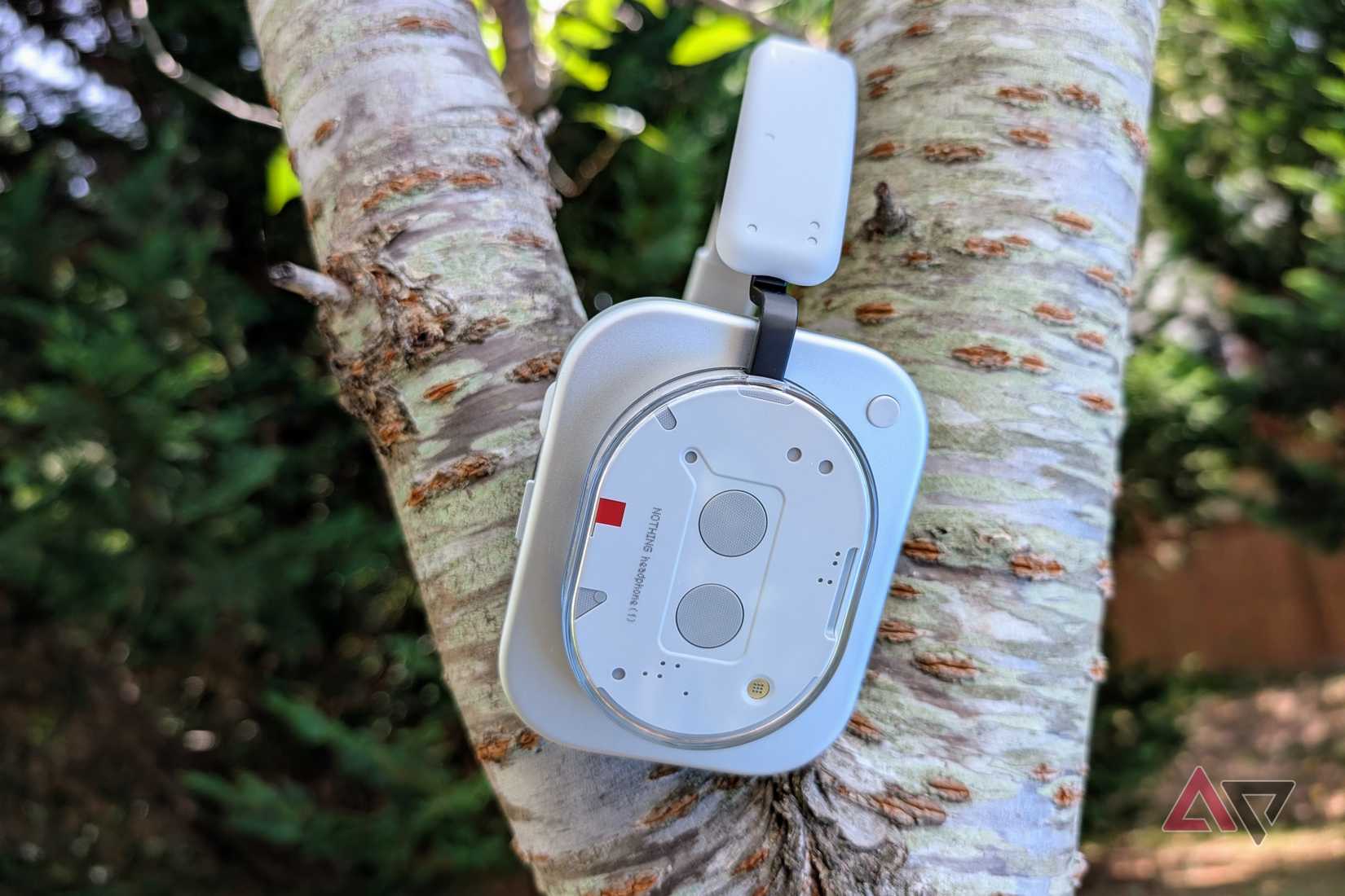 Nothing headphones (1) side in a tree that shows a right ear cup
