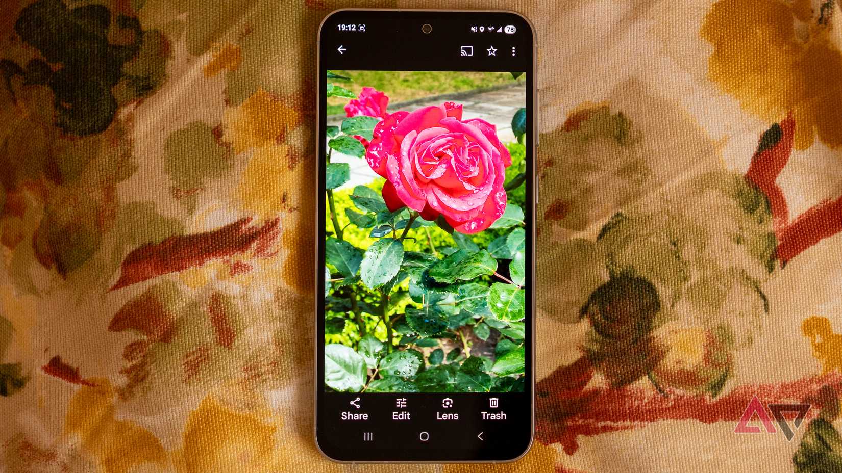 um telefone Samsung Galaxy em um travesseiro exibindo a imagem de uma rosa no Google Fotos