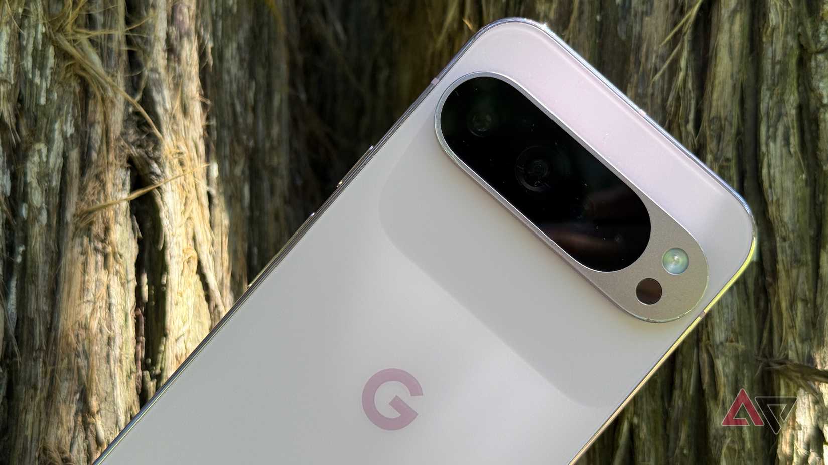 Google Pixel 9 Pro XL held up against a tree