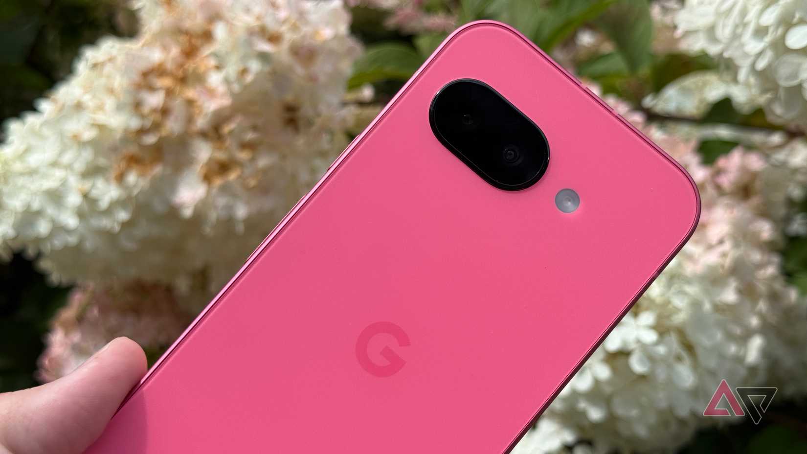 Google Pixel 9a held up against white flowers