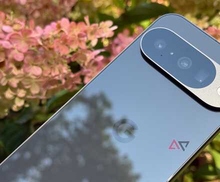 Google Pixel 10 held up against some pink flowers