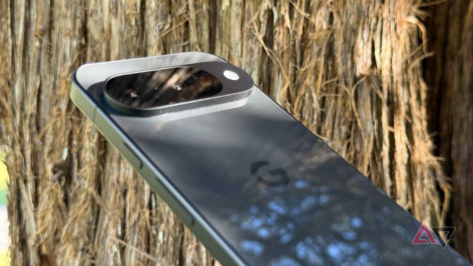 Google Pixel 10 in the sunlight held against a tree