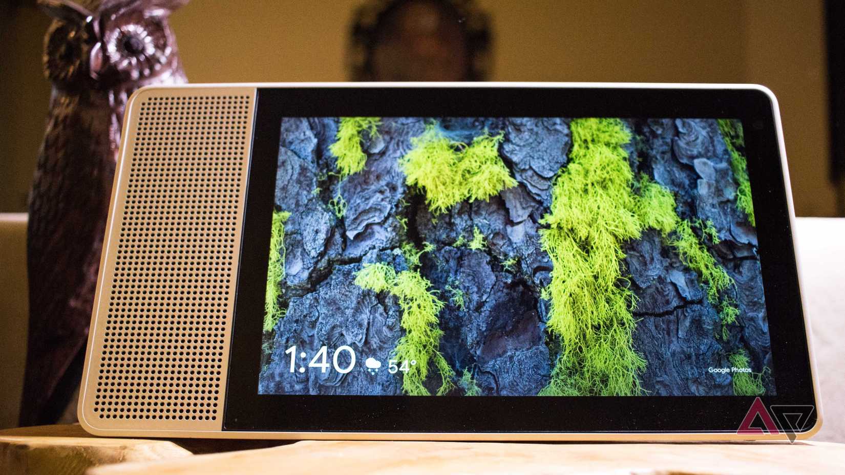 Smart display showing weather and time with a bark and moss wallpaper